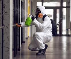 Biohazard Mold Removal